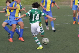 澳客网页版登录入口-中国足球超级联赛收官，广州恒大夺冠，足球比赛广州恒大